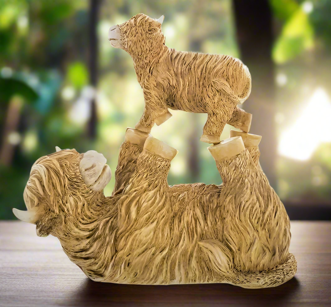 Playful Highland Cow - Large