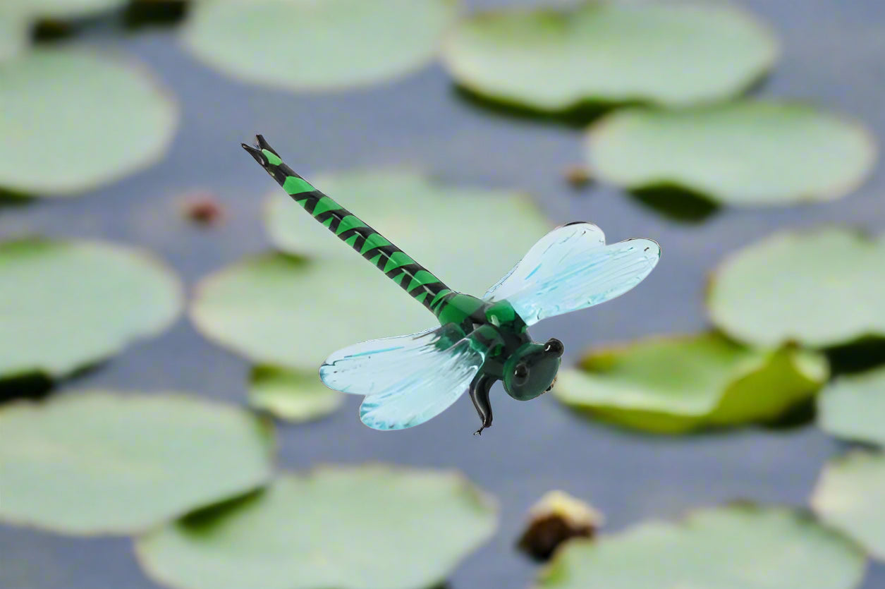 Artisan Glass Dragonfly