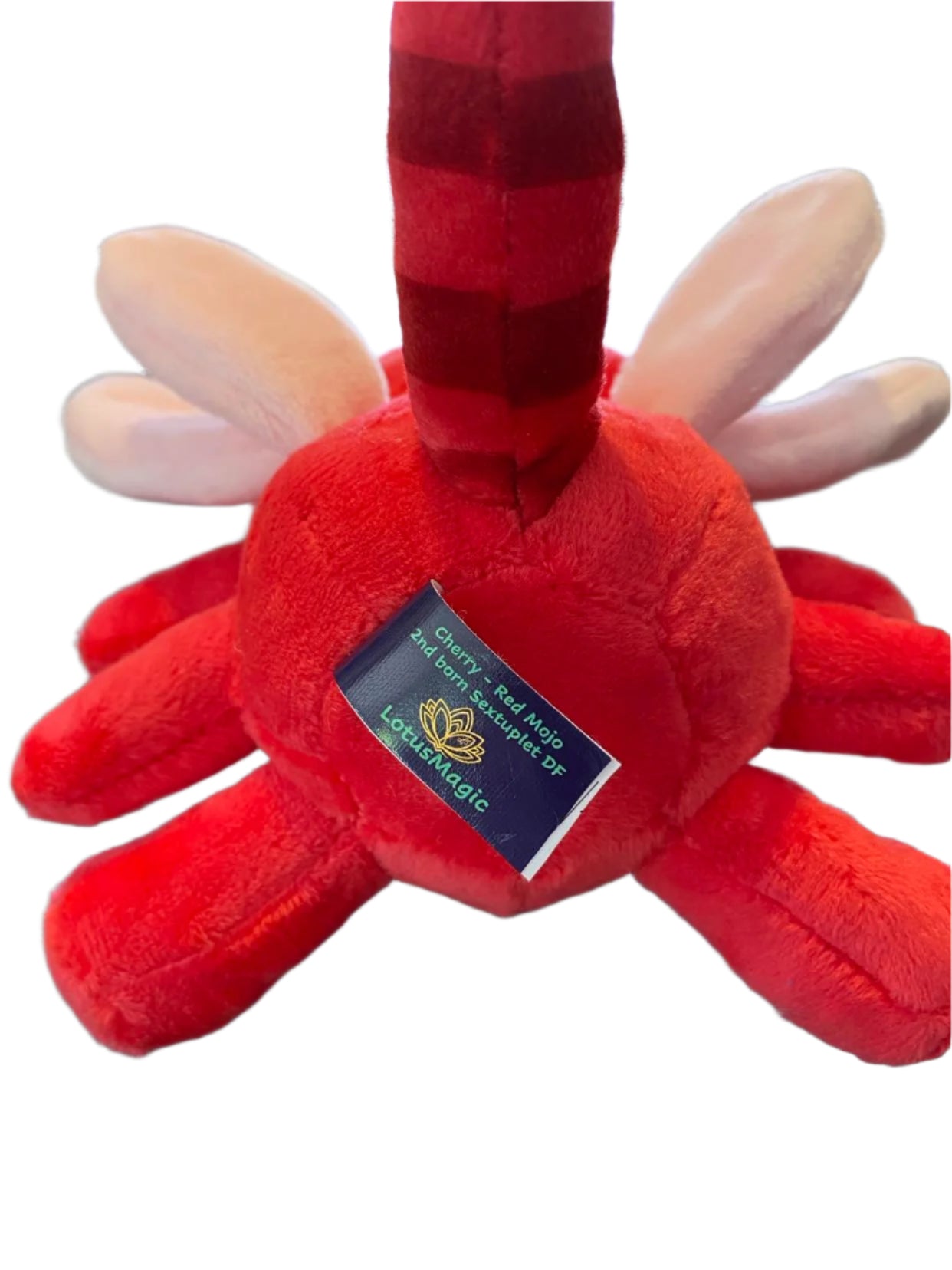 Cherry - MoJo # 2 Baby Dragonfly