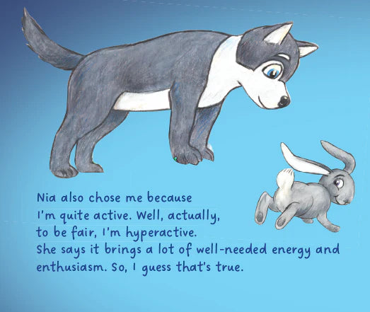 Rhudi - Playful Wolf, Resilience Package