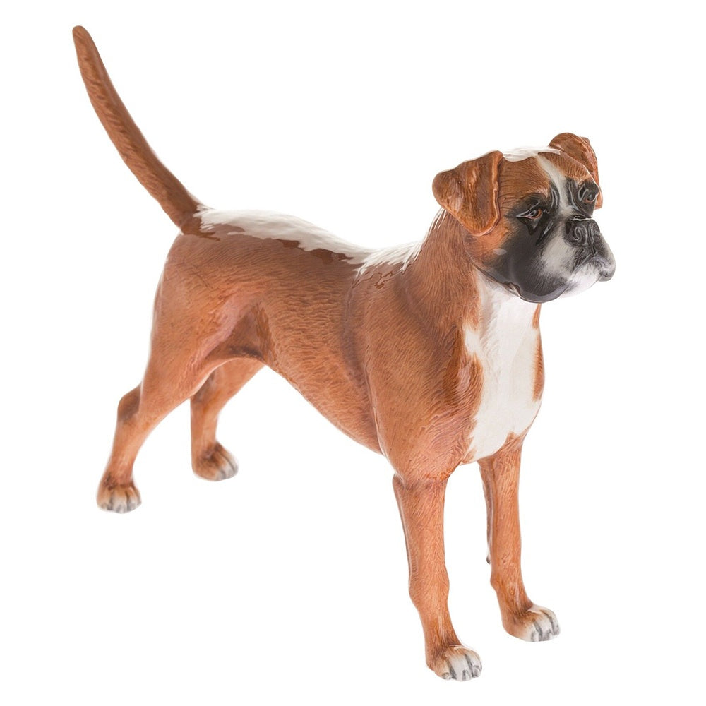 Boxer - Fawn - JB