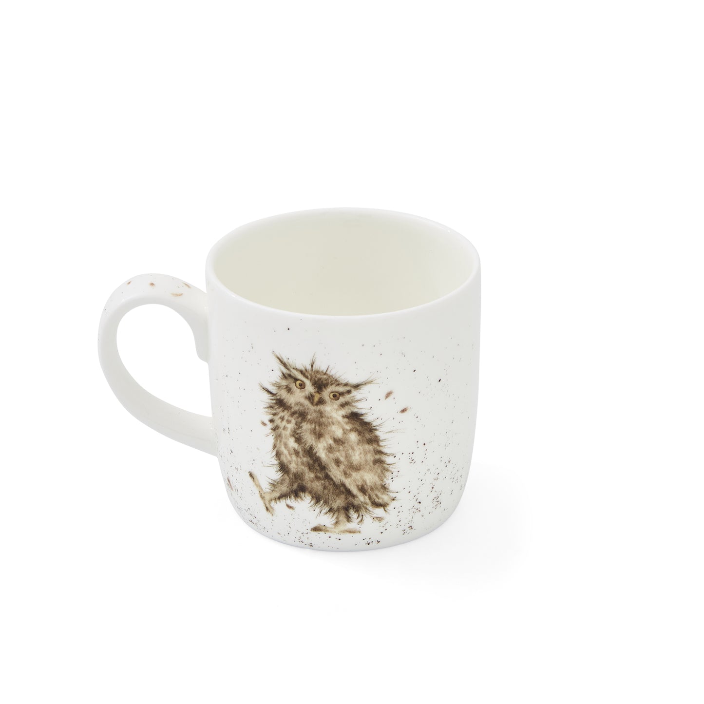 Owl Mug What a Hoot - Royal Worcester