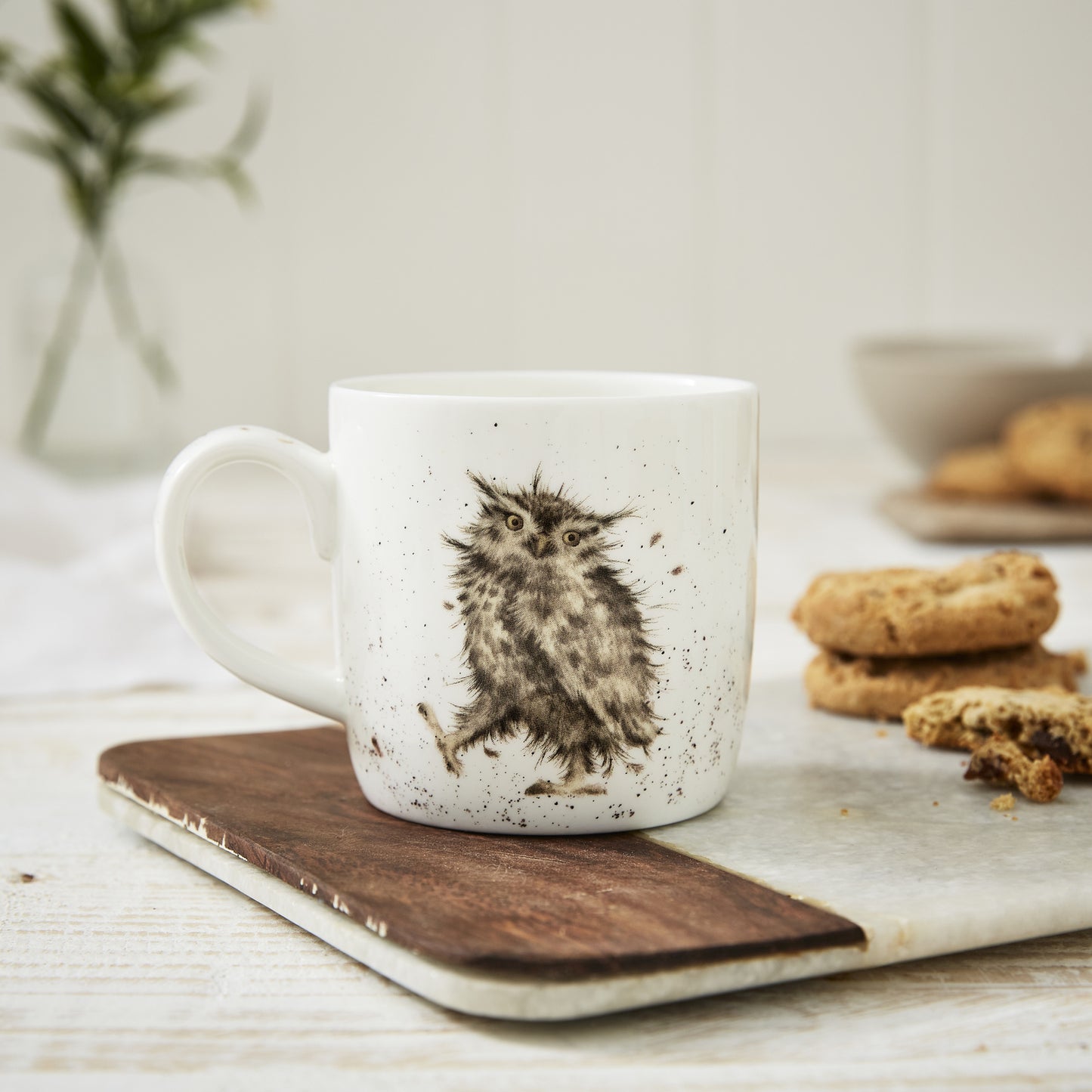 Owl Mug What a Hoot - Royal Worcester