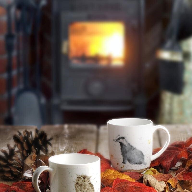 Royal Worcester Wrendale Designs - Badger Mug