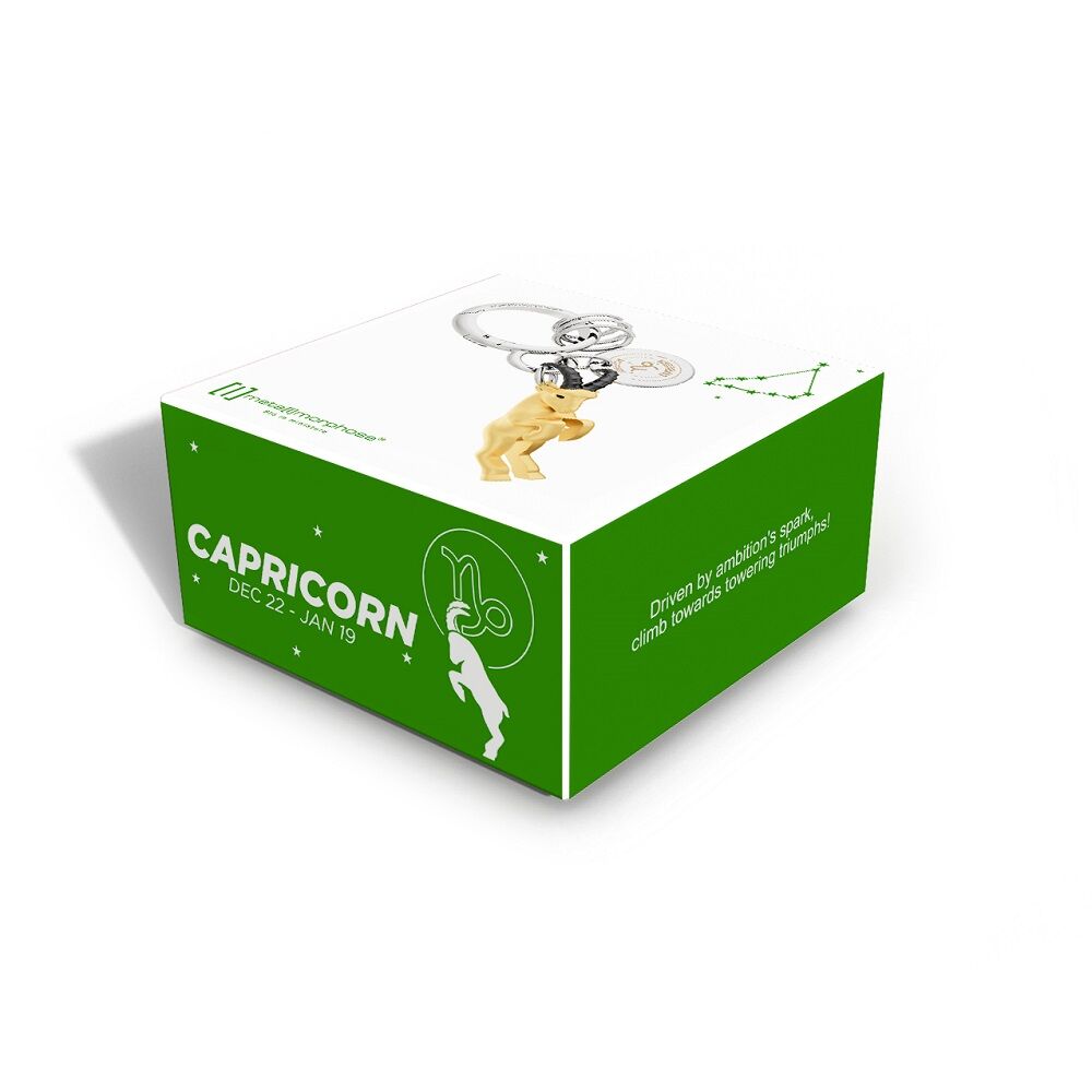 Metalmorphose - Keychain Zodiac Capricorn