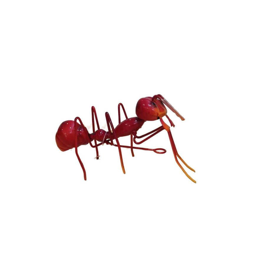 Ant - Red - Small