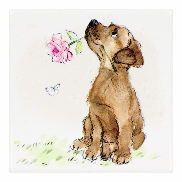On The Farm Individual Coasters