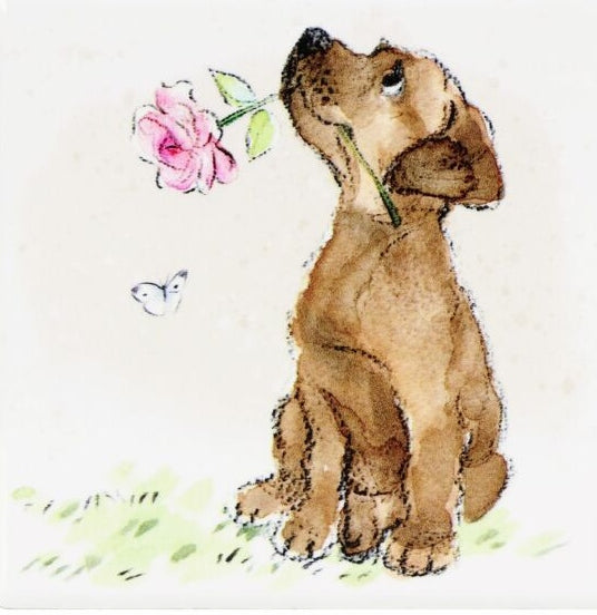 On the Farm Coasters set of 6