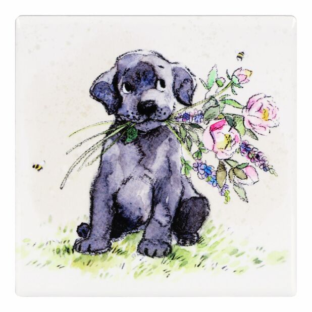 On The Farm Individual Coasters