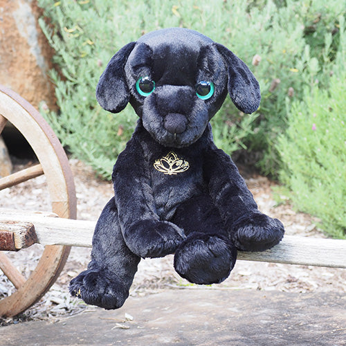 Mango - Black Dog Empowerment/Therapy Package