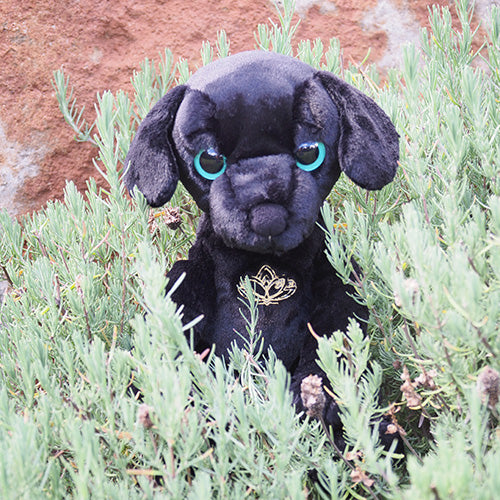 Mango - Black Dog Empowerment/Therapy Package
