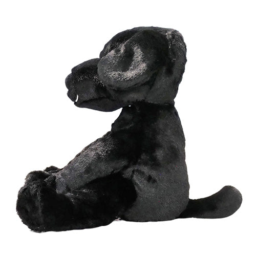 Mango - Black Dog Empowerment/Therapy Package