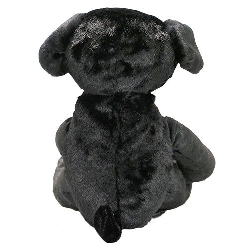 Mango - Black Dog Empowerment/Therapy Package
