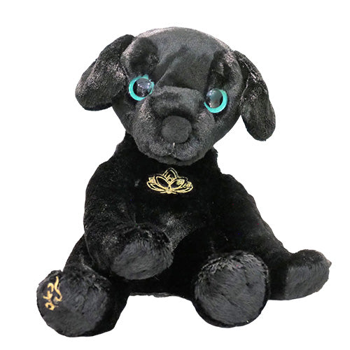 Mango - Black Dog Empowerment/Therapy Package