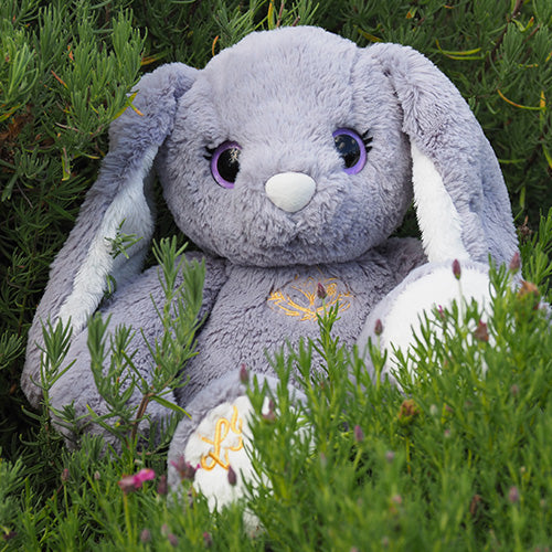 Nia - Grey Bunny Empowerment/Therapy Package
