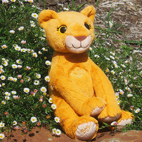Sudhira - Courageous Lioness Empowerment/Therapy Package