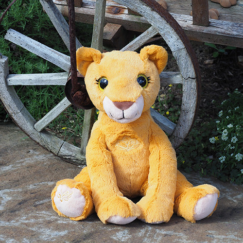 Sudhira - Courageous Lioness Empowerment/Therapy Package