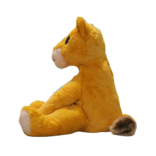 Sudhira - Courageous Lioness Empowerment/Therapy Package