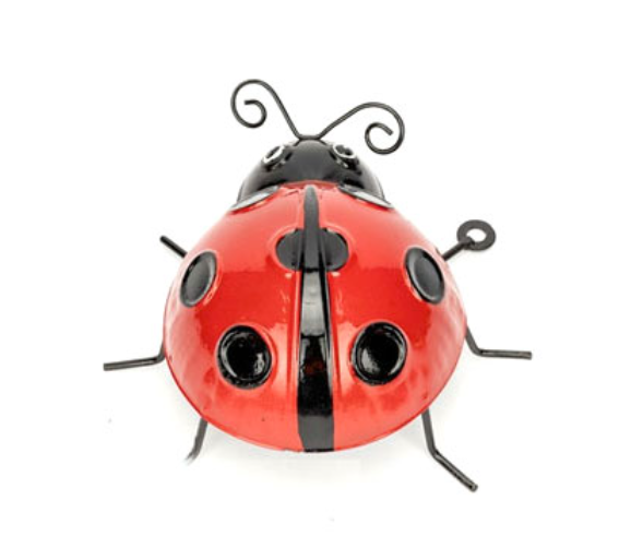 Ladybug Red