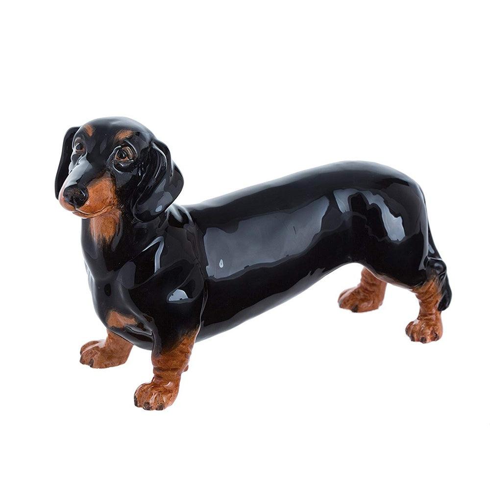 Dachshund - Black and Tan - JB