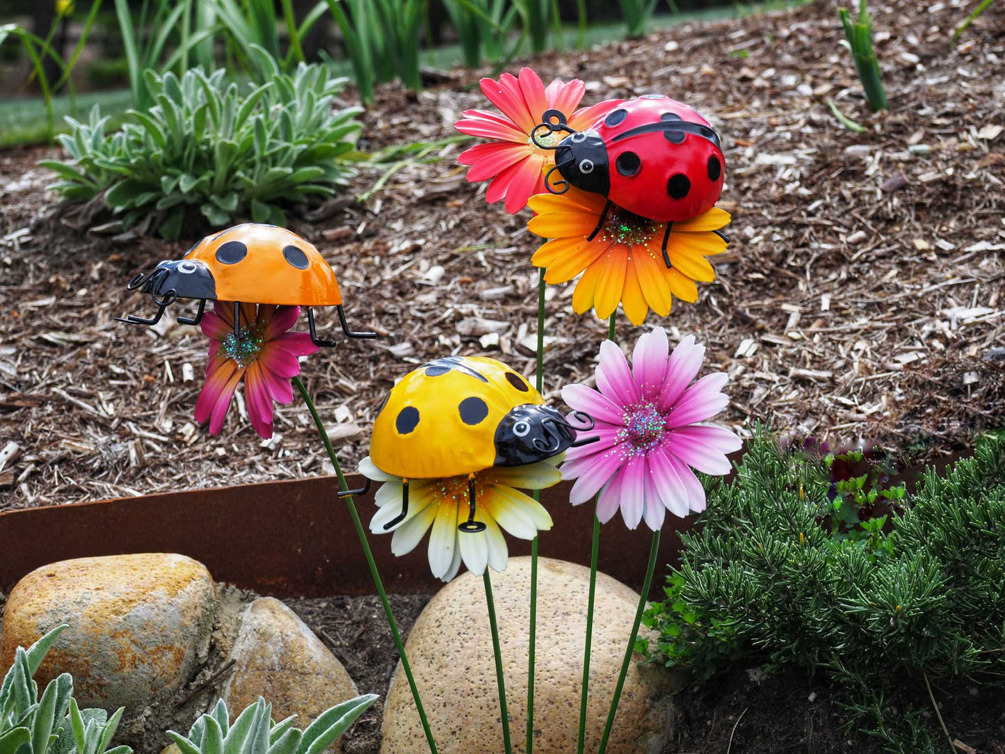 Ladybug Red