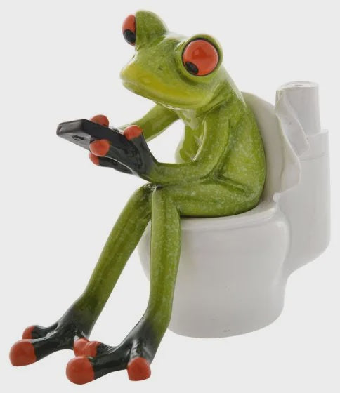 Frog on Toilet - Funny Frog