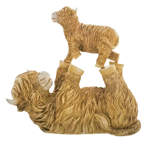 Playful Highland Cow - Large