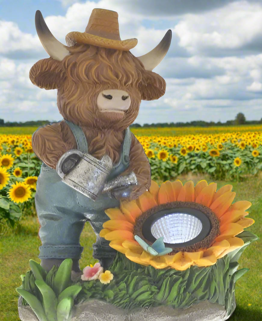 Highland Cow Solar Sunflower