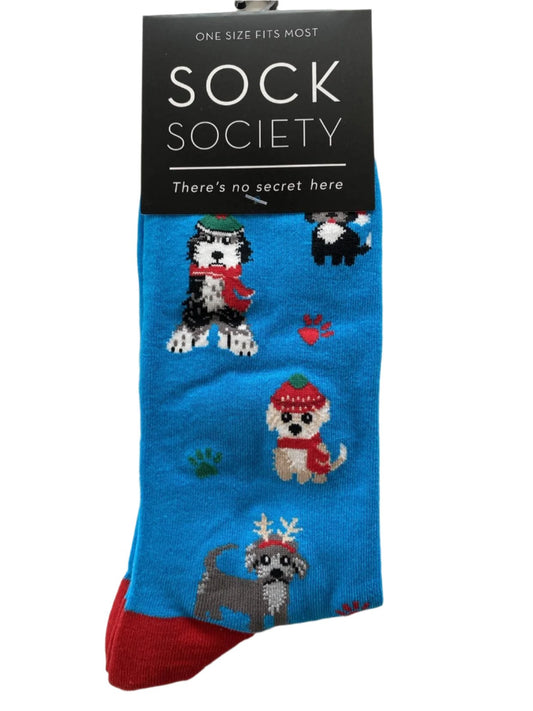 Puppy Sky Blue - Kris Kringle Socks Cotton Rich