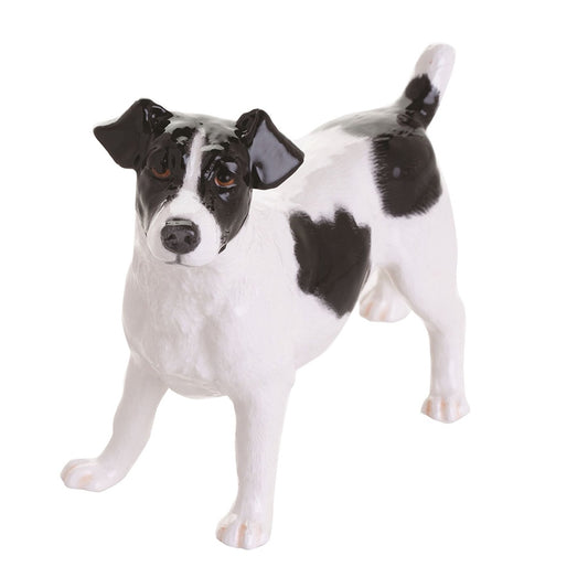 Jack Russell (Black and White) - JB