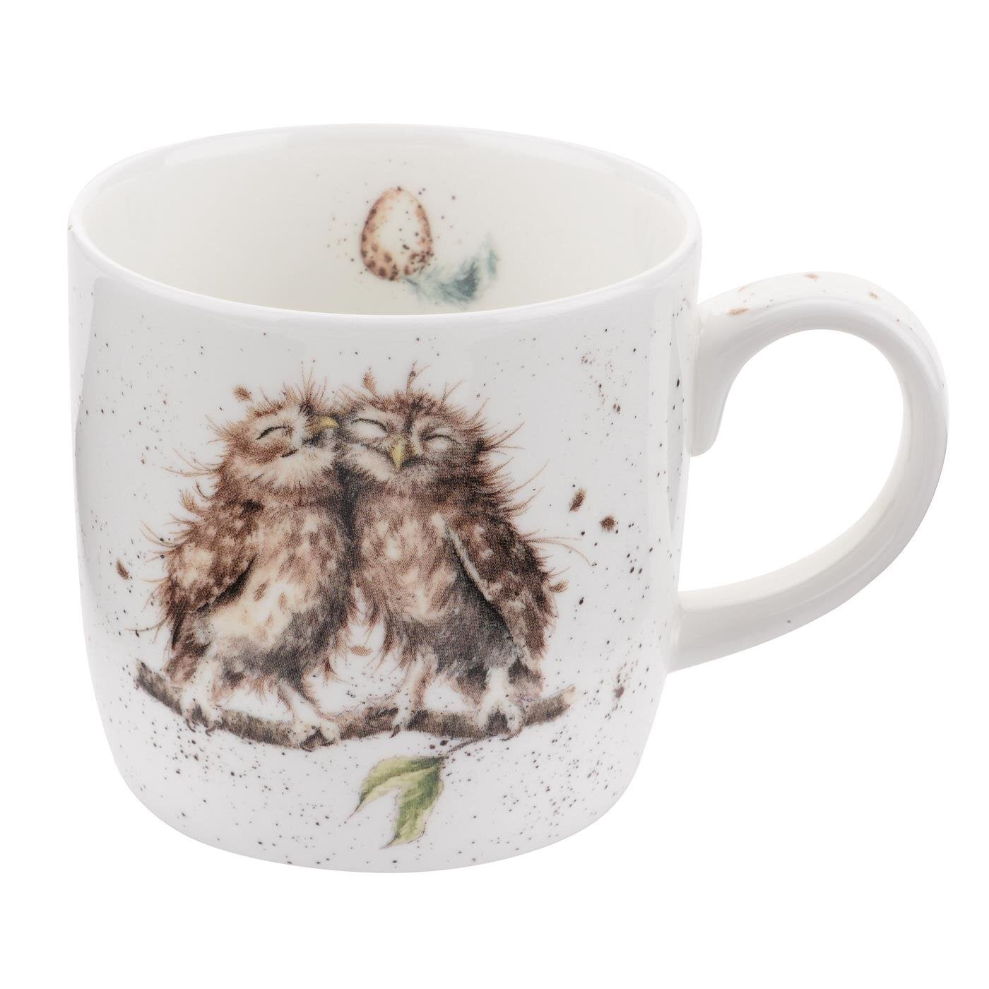 Owl Mug Birds of a Feather - Royal Worcester