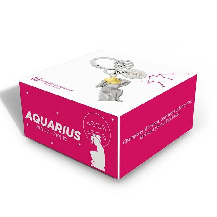 Metalmorphose - Keychain Zodiac Aquarius